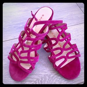 Sacha London Women’s Magenta